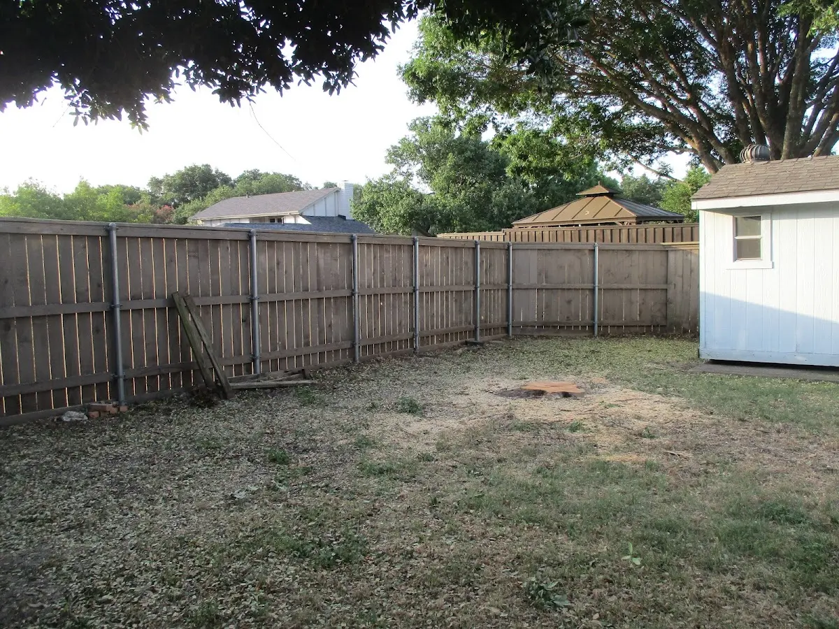Cleared yard after professional tree removal in Phillipsville